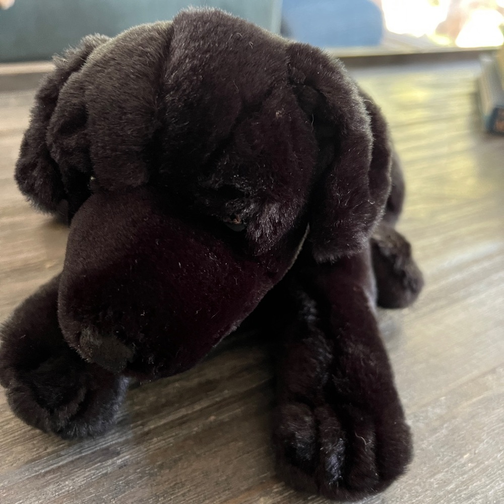 Small black lab